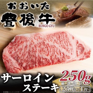 サーロインステーキ おおいた豊後牛サーロインステーキ 250g