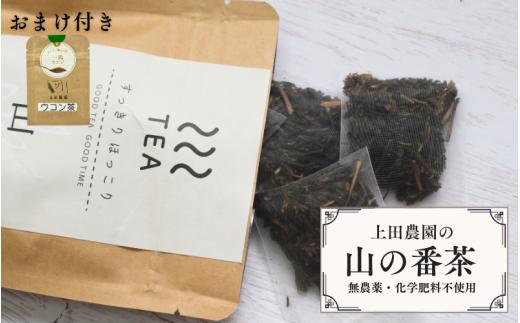 【上田農園】土地の恵みだけで育てた　無農薬　山の番茶（12パック×1袋) おまけ付き（一匙ウコン粉末）/  茶 お茶  番茶　無農薬　有機栽培　無添加