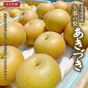 【ふるさと納税】【先行予約】木更津市産　矢那の梨【あきづき】〈安西梨園〉 / ふるさと納税 フルーツ 果物 くだもの 梨 ナシ なし 季節 旬 産地直送 送料無料 千葉県 木更津市 KCO003