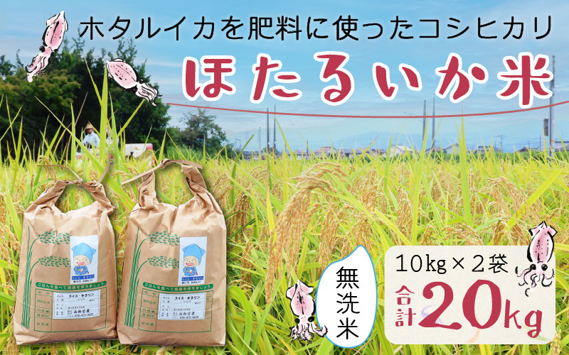 
【訳あり】ほたるいか米（無洗米20kg）【通年発送】
