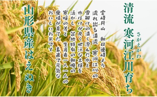令和8年産 新米 はえぬき 10kg (5kg×2）清流寒河江川育ち 山形県産 米 精米 お米 山形県 送料無料