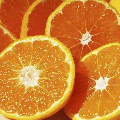 
                  ＜2026年11月以降発送＞濃厚な味わい「和」なごみ(みなの共選・家庭用)約5kg＜C28-28＞_みかん 柑橘 訳あり フルーツ 果物 くだもの 傷 規格外 家庭用 なごみ 和 人気 おすすめ 送料無料 愛媛県 八幡浜市【1122343】 YWTN020
                