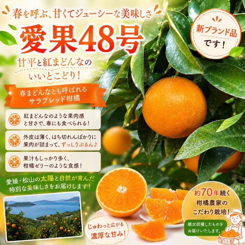 【2027年3月上旬頃から順次発送】  愛果48号（紅プリンセスと同品種） 約3kg × 3箱 ｜あいか 愛果 紅まどんな × 甘平 紅プリンセス と同品種 みかん 蜜柑 ミカン 柑橘 果物 フルーツ