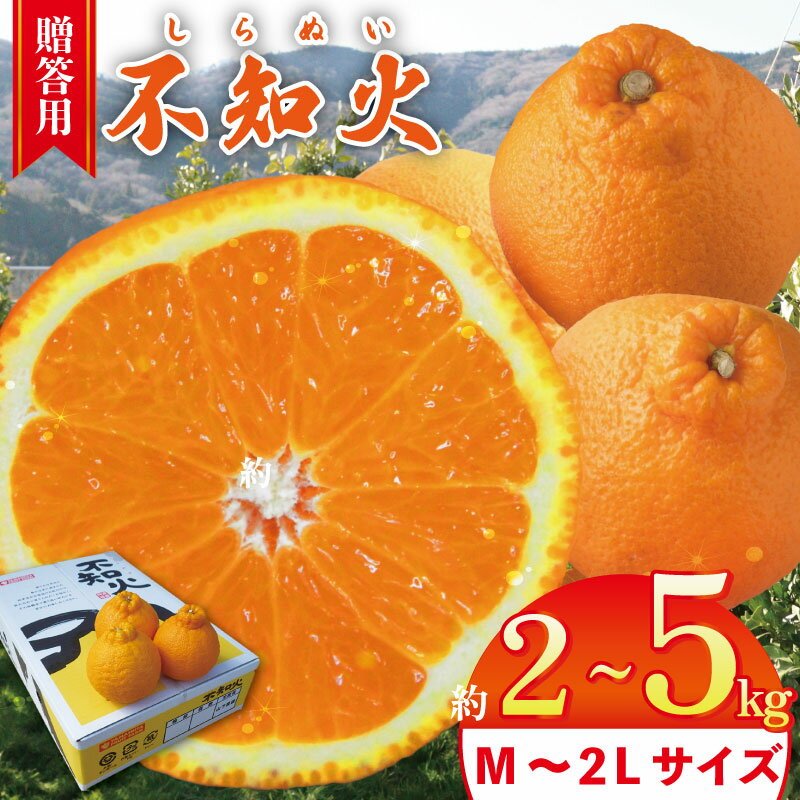 【ふるさと納税】 不知火 約2kg から 約5kg 選べる サイズ 容量【 2026年3月発送予定 】 贈答用 しらぬい 柑橘 みかん オレンジ フルーツ 果物 甘い スイーツ ギフト 送料無料 徳島県 吉野川市 山下農園