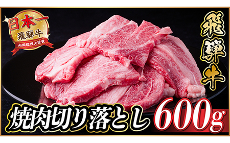 飛騨牛 焼肉 切り落とし 約600g(約300g×2)訳あり【冷蔵便】【配送不可地域：離島】【1543372】