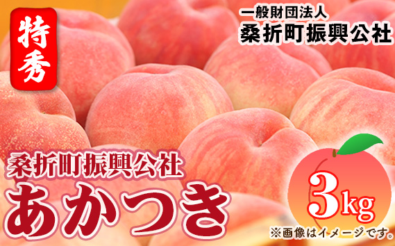 もも【あかつき・2026年産先行受付】特秀3kg（9〜11玉）桑折町振興公社 No.181