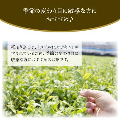 ふるさと納税 南九州市 【けやき製茶】紅ふうき烏龍茶ティーバッグ5本セット |  | 03