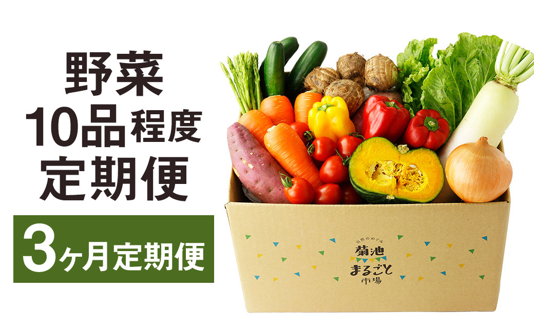 【定期便3回】 野菜 10品程度 詰め合わせ 3ヶ月 定期便 やさい 詰合せ セット【メロンドーム】