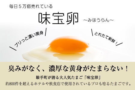 たまご屋さんのやわらか親鶏カレー  10人前 300g×5袋 野上養鶏場  《60日以内に出荷予定(土日祝除く)》 福岡県 鞍手郡 鞍手町 味宝卵 カレー