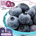 【ふるさと納税】【先行予約】【数量限定】大粒 ブルーベリー 約1000g（約250g×4pc） 【すみれファーム】[ZEP002]