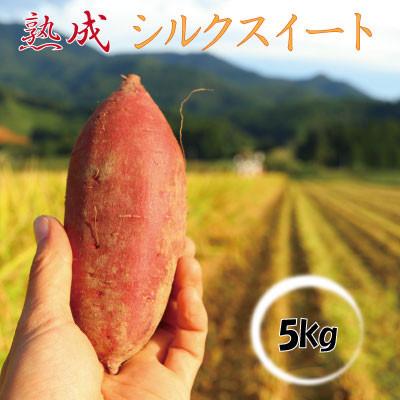 ふるさと納税 新庄市 栽培期間中、農薬・化学肥料不使用　熟成『シルクスイート』 5kg