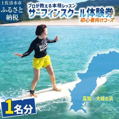 ふるさと納税 土佐清水市 高知・大岐の浜 サーフィン スクール 体験券 1名分(初心者向けコース)【R01593】