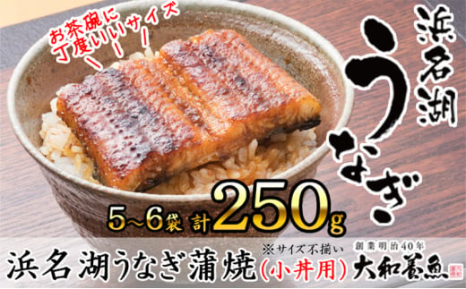 浜名湖うなぎ蒲焼（小丼用）計250g 【訳あり】サイズ不揃い5～6袋 [№5786-5416]