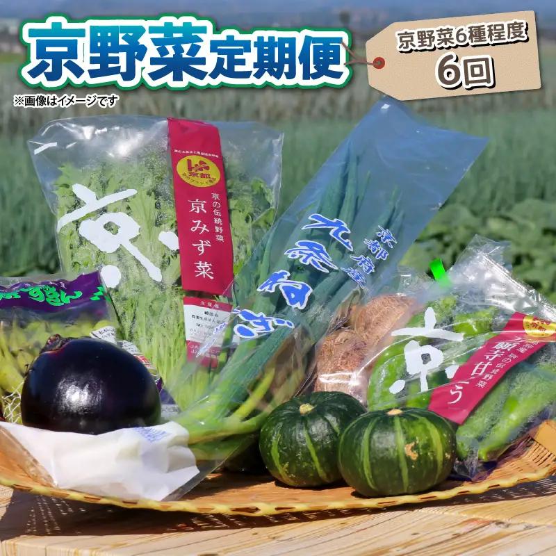 【野菜 定期便6回】選りすぐり 旬の京野菜 詰め合わせセット 