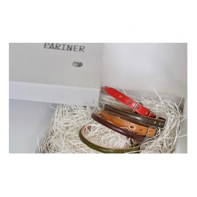 ふるさと納税 姫路市 [53657042]good collar 5号 ヒノキ |  | 01