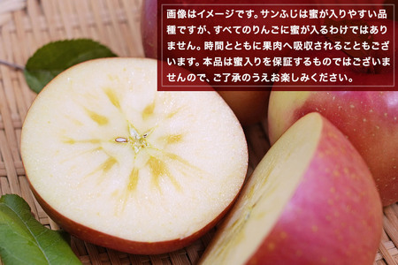 【25年11月～発送】りんご 平均糖度13度以上！ 葉とらずサンふじ 約5kg おもてなし用【先行受付】