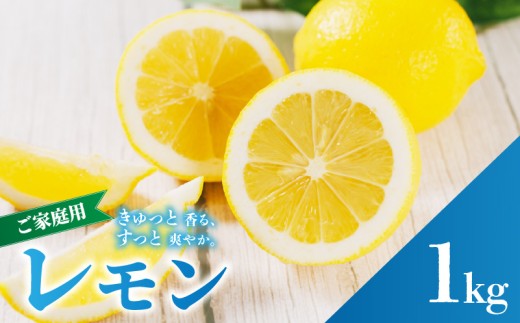 イエロー レモン 家庭用 お試し 1kg 【2027年2月上旬から発送】 防腐剤 ワックス 不使用｜ 訳あり レモン 檸檬 完熟 柑橘 酸味 国産 愛媛県産 訳あり 新鮮 愛媛 松山