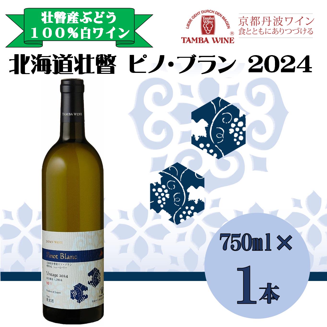 【ふるさと納税】北海道壮瞥産 ピノ・ブラン2024(辛口白ワイン) 750ml 【 ふるさと納税 人気 おすすめ ランキング 北海道 壮瞥 ワイン シャルドネ ピノ・ブラン ぶどう 葡萄 酒 白 辛口 贈り物 贈物 贈答 ギフト 大容量 詰合せ セット 北海道 壮瞥町 送料無料 】 SBTA084