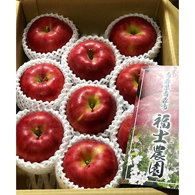 
＜訳あり＞ りんご 希少品種「紅の夢」 家庭用 約3kg (6～12玉) 【1098510】
