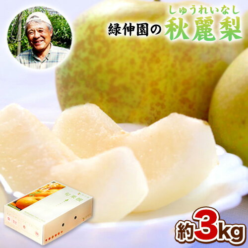 【ふるさと納税】熊本県玉東町産『緑伸園』の秋麗梨 期間限定 たっぷり約3kg 5-9玉前後 なし 秋麗 果物 スイーツ フルーツ デザート スムージーにも 《8月上旬-8月下旬頃出荷》