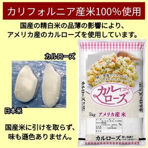 肉巻きおにぎりセット40g×24個【配送不可地域：離島】【1628752】