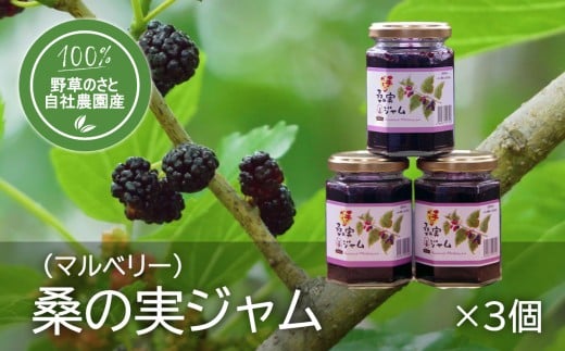 桑の実ジャム150ｇ（3個）