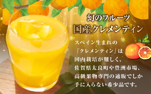 013-0019x1〔山口柑橘園〕クレメンティンジュース2本セット
