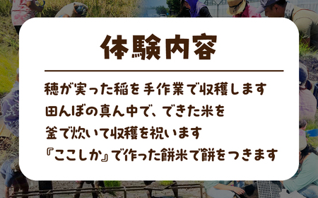 米作り体験コースＡ（稲刈り、収穫祭、餅つき） 米作り 手作業 無農薬 体験 お米 米 親子 イベント 自然 自然体験