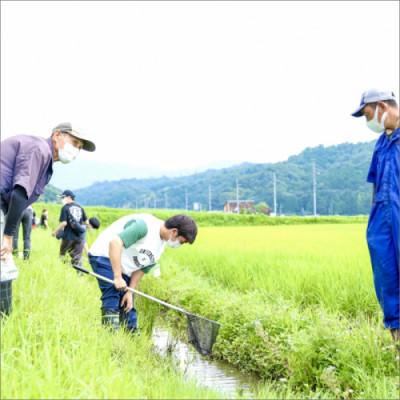 ふるさと納税 京丹後市 2025年産 京丹後産生物多様性米コシヒカリ「ゲンゴロウ郷の米」5kg箱入 おいしいお米 |  | 01