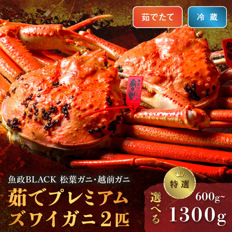 【ふるさと納税】【蟹の匠 魚政】茹で プレミアムズワイガニ 魚政BLACK（松葉ガニ・越前ガニ）特撰 小サイズ (600～700g) ～ 特大サイズ (1200～1300g) 2匹セット (11月～12月発送) (2026年1月～発送)