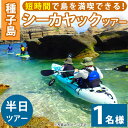 【ふるさと納税】シーカヤック半日ツアー(1名様分、3時間)種子島 島 カヤック ツアー 観光 海 レジャー【Lulusun】