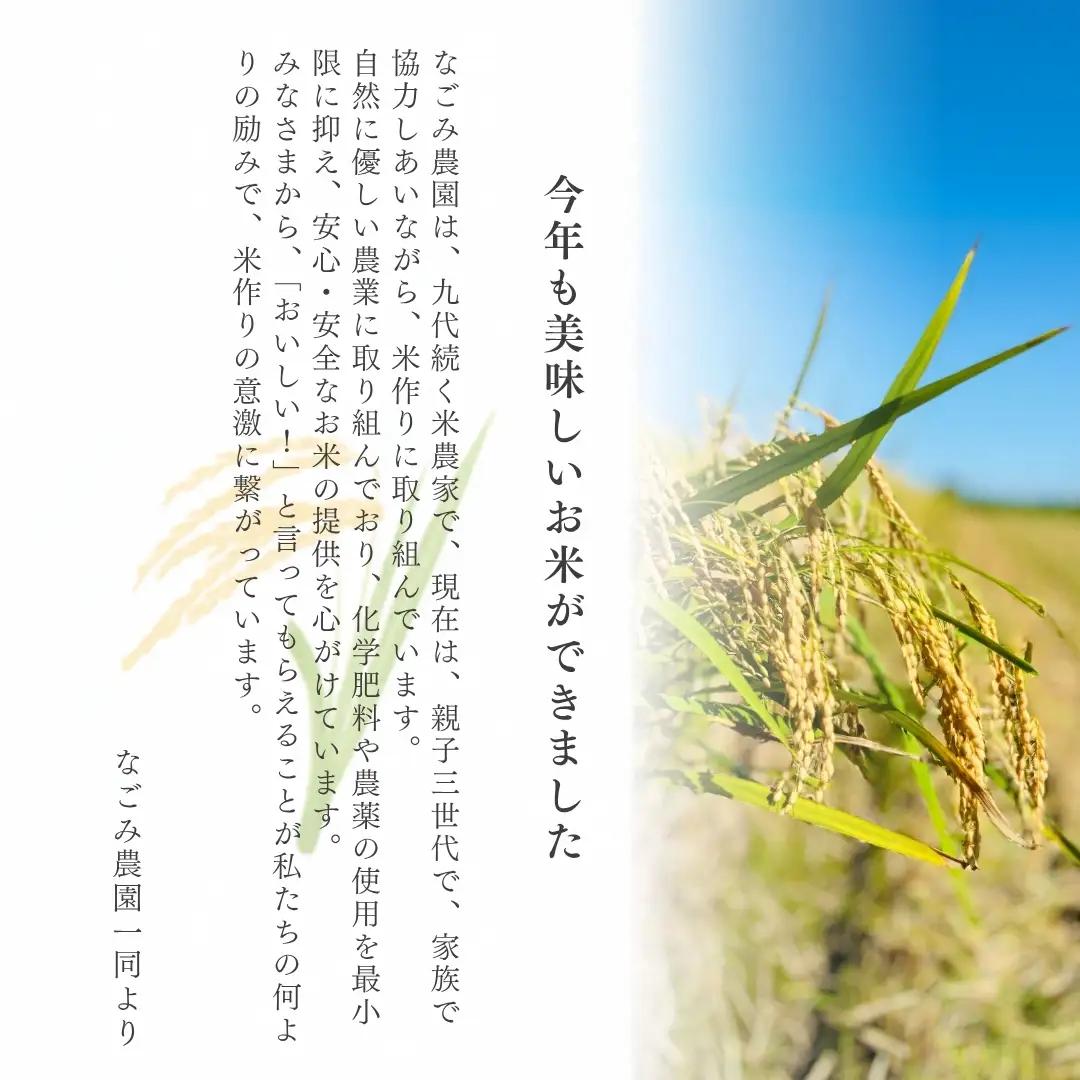 【先行予約】令和8年産〈3回定期便〉コシヒカリ 5kg 精米 なごみ農園 こしひかり | 新潟県 五泉市 コシヒカリ