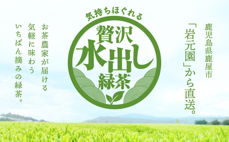 お茶 農家 の 水出し 緑茶 ティーバッグ（ 1番茶 使用 500ml対応 ） KN166-002-01 水出し緑茶 ブレンド リーフ 粉末茶 やさしい お茶農家 岩元園 ふるさと納税 鹿児島 鹿屋市