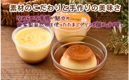 [037-a003] スイーツ たまごやさんの チーズケーキ（小）と たまごプリン 5個セット【自家製自然卵 濃厚チーズケーキ デザート NYチーズケーキ】