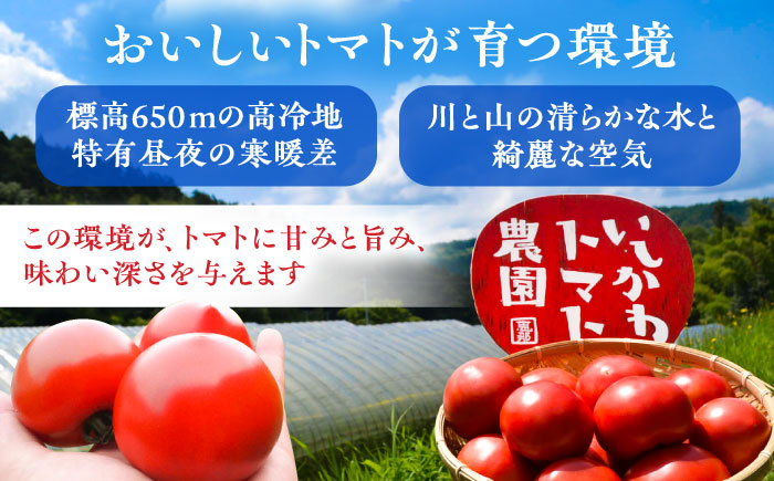 トマトの宝石箱 4kg / トマト とまと 大玉トマト ミニトマト 詰め合わせ / 恵那市 / クリエイティブファーマーズ [AUAH015]