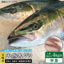 【ふるさと納税】【1 16〜3月末お届け】壱岐島産天然寒ブリ（一本丸ものサイズ4キロ台の半身ブロック） 《壱岐市》【壱岐島　玄海屋】[JBS006] ぶり 寒ぶり ブリ 魚 刺身 しゃぶしゃぶ 35000 35000円 のし プレゼント ギフト 冷蔵配送