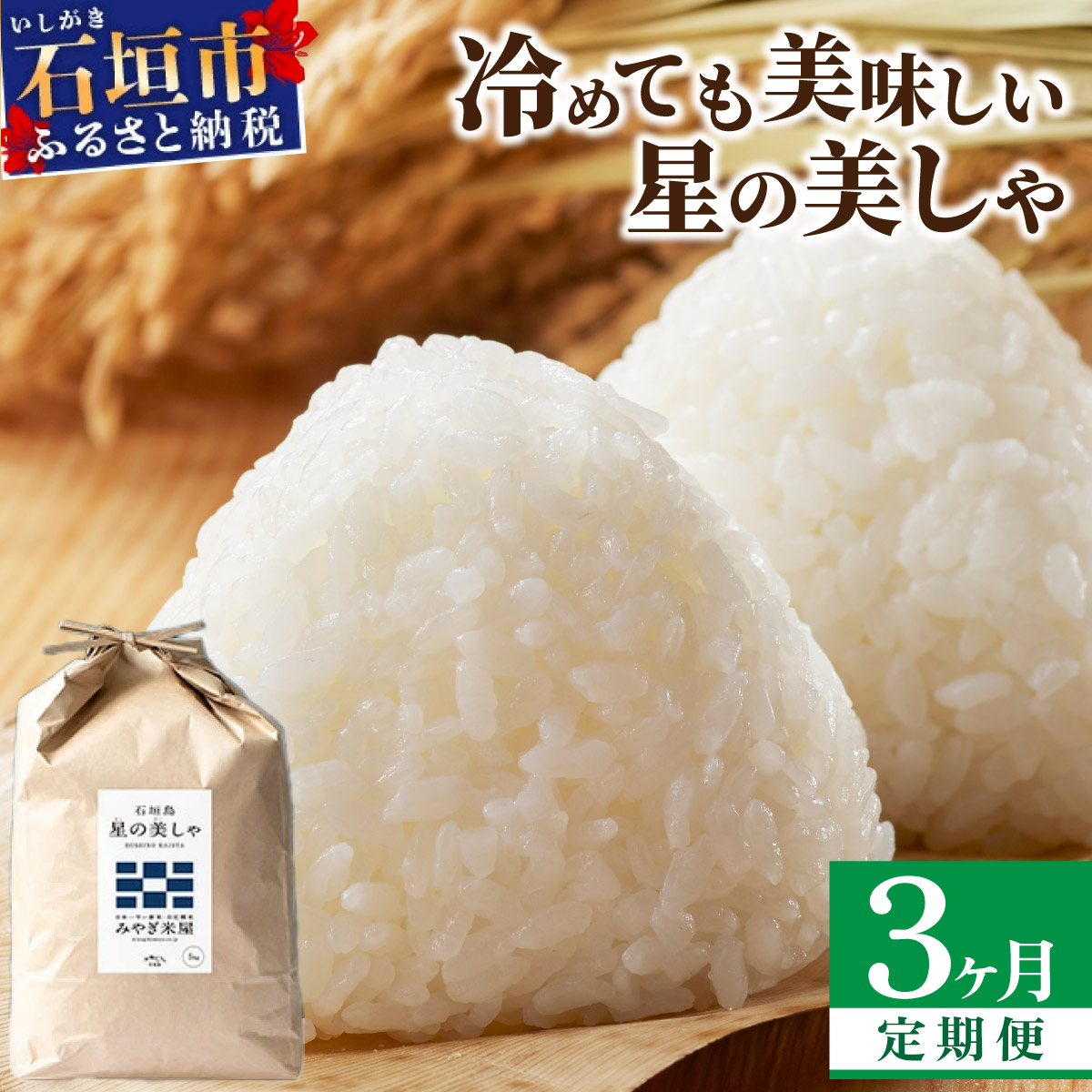 【定期便３回】３ヶ月連続お届け 石垣島産 星の美しゃ（ほしのかいしゃ）15kg（5kg×3袋）【 日本一早い新米の産地 ふるさと納税 沖縄県 石垣市 石垣島 米 星 星の美しゃ】MK-6