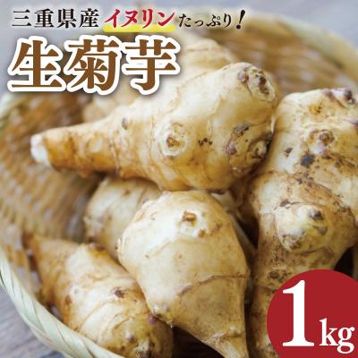 ふるさと納税 明和町 生 菊芋 1kg