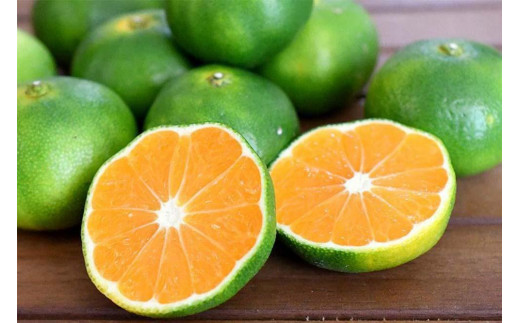 
【先行予約】和歌山由良町産 由良早生みかん 約10kg 訳あり キズ 御家庭用 サイズ混合【SL4】
