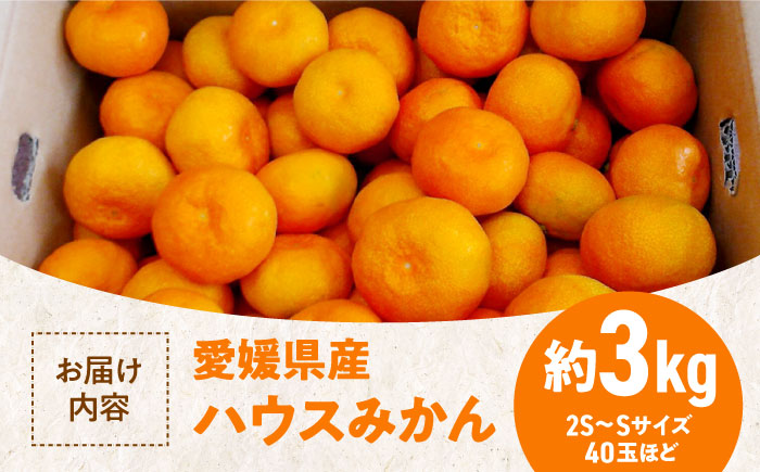 【先行予約】【夏限定】愛媛県産 峯田農園のあま〜い「ハウスみかん」3kg　愛媛県大洲市/峯田農園 [AGBT002]みかん オレンジ フルーツ ミカン 果物 かき氷 みかんジュース 愛媛みかん こたつ