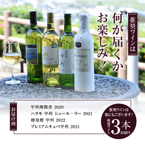 勝沼ぶどうの丘推奨白ワイン3本+タートヴァン D-617