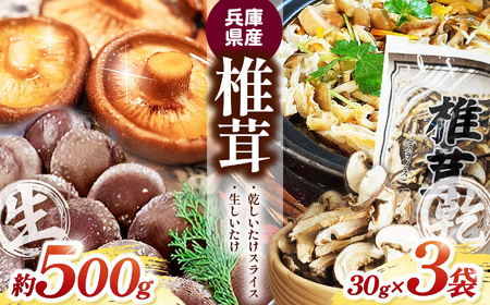 兵庫県産 生椎茸 「 しいたけ小町 」 約500g と 乾しいたけ （ スライス ） 3袋のセット | 生しいたけ しいたけ シイタケ 椎茸 乾椎茸 干しいたけ きのこ キノコ 野菜 山菜 セット 兵庫県 上郡町