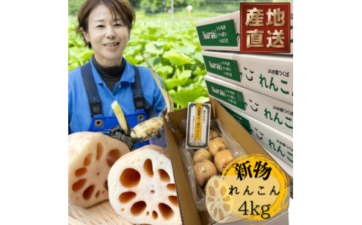 新物!　肉厚でシャキシャキの食感と甘みが特徴　　掘りたて れんこん　4Kg(4～7本)【1420957】