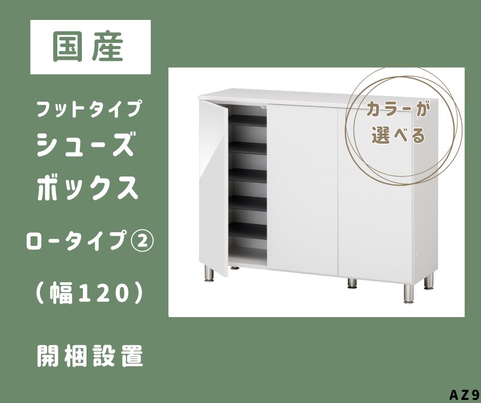 【ふるさと納税】AZ9　フットタイプ国産シューズボックス（ロータイプ・2）※開梱設置