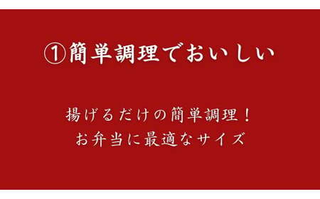 アジフライ220g 10枚×2パック アジフライ