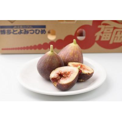ふるさと納税 大刀洗町 【先行受付】福岡限定!ブランドいちじく「とよみつひめ」約300g×4パック(大刀洗町) |  | 01