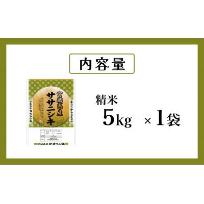 ふるさと納税 石巻市 米 令和7年産 ササニシキ 精米 5kg 新米 お米 ごはん ご飯 飯 5キロ 単一銘柄米 主食 |  | 03