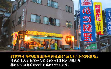 【訳あり】足折れ 越前がに 中サイズ × 2杯（1杯600〜700g）【1月発送分】地元で喜ばれるゆで加減・塩加減で越前の港から直送！【雄 ズワイガニ ずわいがに 姿 ボイル 冷蔵 福井県】希望日指定