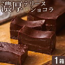 【ふるさと納税】 テリーヌ ショコラ 1箱 オクタス チョコケーキ ベルギー チョコレート スイーツ ギフト デザート 生チョコ ガトーショコラ フォンダンショコラ【財宝】