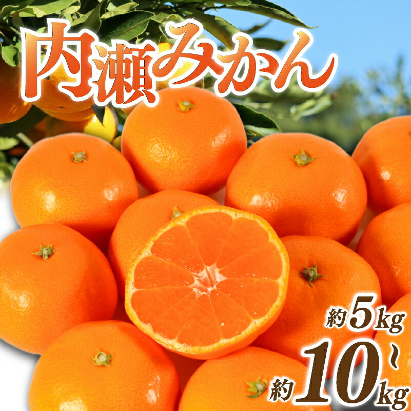【ふるさと納税】 先行予約 みかん 約5～10kg 数量限定 期間限定 温州みかん 内瀬みかん アサヒ農園 柑橘 蜜柑 フルーツ 果物 くだもの 国産 ブランド 三重県 伊勢 志摩 南伊勢町 20000円 二万円 20000円以下 二万円以下